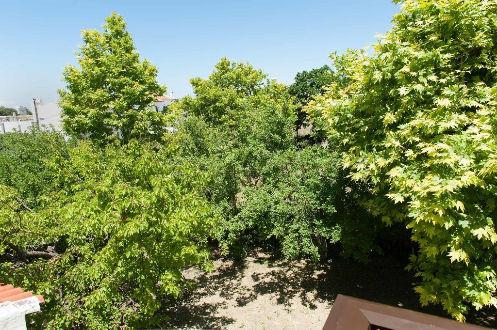 Aparthotel Saonisos Kamariotissa Exterior foto